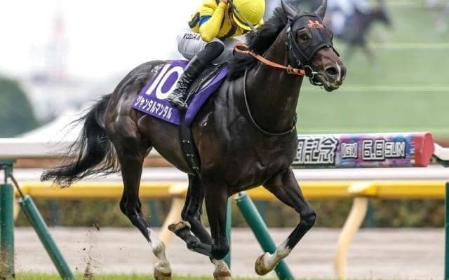 【マイルCS枠順確定】ジャンタルマンタルは7枠15番、ソウルラッシュは8枠17番