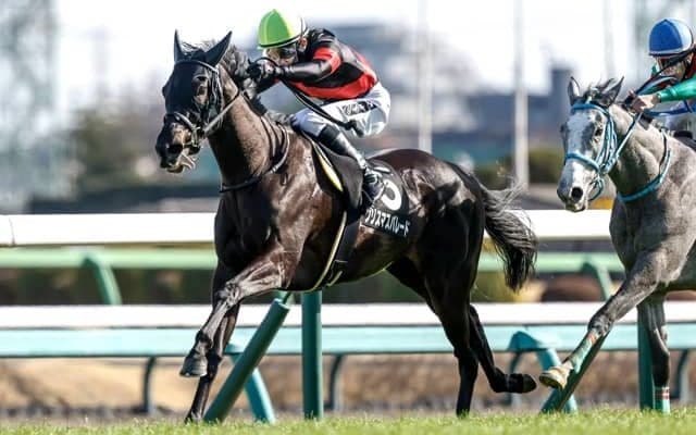 【福島記念枠順確定】クリスマスパレードは1枠1番、エコロヴァルツは4枠8番