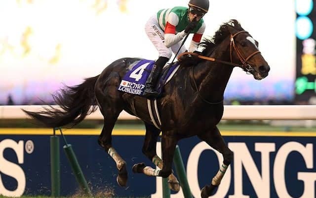 セレクト2.8億円の3歳馬 スワーヴゴダイヴァが待望のデビュー戦だ