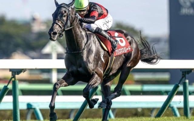 【福島記念予想】牝馬が苦戦するのは開催日程が要因!? 新たなウィークポイントが露呈した信頼しづらい人気馬とは