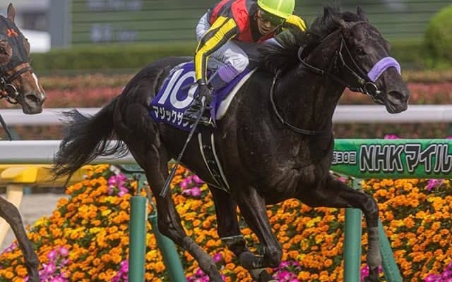 今週の武豊騎手は18鞍 マジックサンズでマイルCSの12年ぶり3勝目狙う