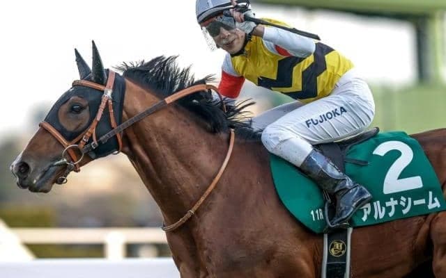 重賞2勝のアルナシームが引退 今後は乗馬に
