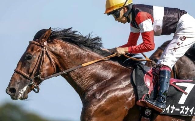 【京都2歳S想定馬・騎手】ウイナーズナイン、アスクエジンバラなど12頭