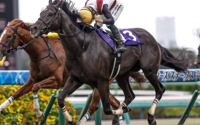 【京阪杯想定馬・騎手】ルガル、ナムラクララなど24頭