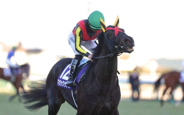 武豊騎手 今週の騎乗馬…マイルCSはマジックサンズで一発を狙う