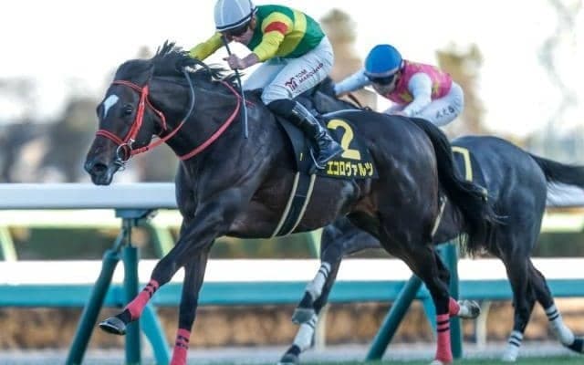 【今日の注目ポイント】福島記念でエコロヴァルツが重賞制覇を狙う