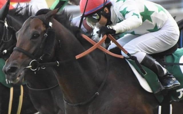 福島記念は内枠が圧倒的有利 過去10年の勝ち馬7頭に該当する共通点とは