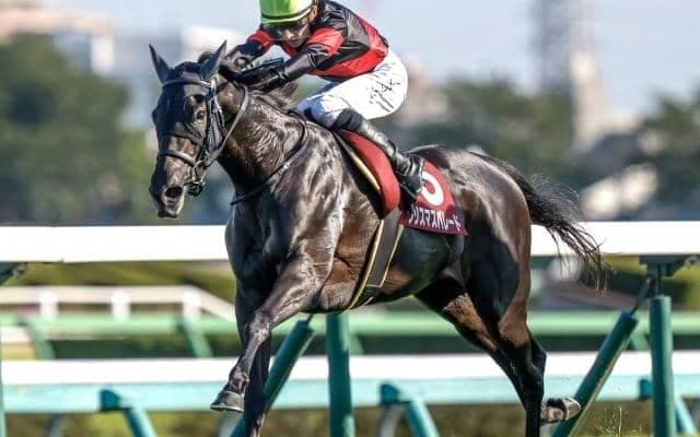 【福島記念予想】秋の福島開催を飾るハンデ重賞 過去10年で1番人気はわずか1勝