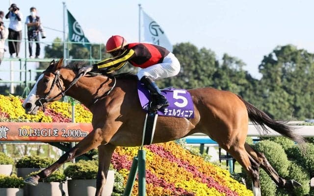 【競馬予想】マイルCSで注目は４歳牝馬２頭　ＧⅠ馬６頭が揃うなかで見るべき血統は？