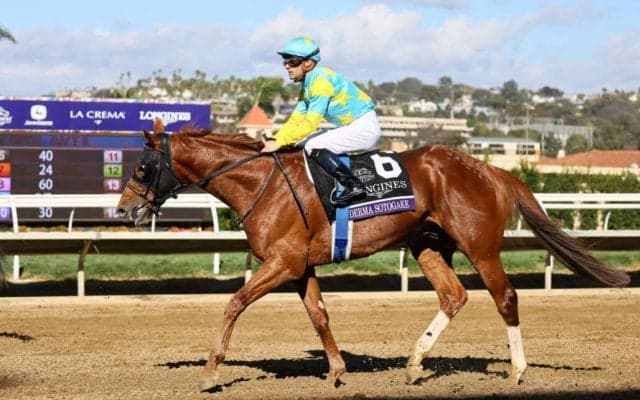 【浦和記念】デルマソトガケなどJRA馬4頭