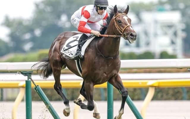 【東スポ杯2歳S枠順確定】ダノンヒストリーは7枠9番、ゾロアストロは6枠8番