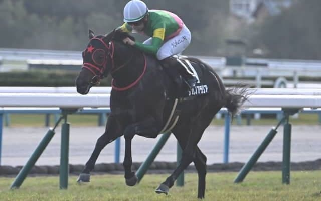 【秋明菊賞結果】タガノアラリアが内を突いて抜け出しV