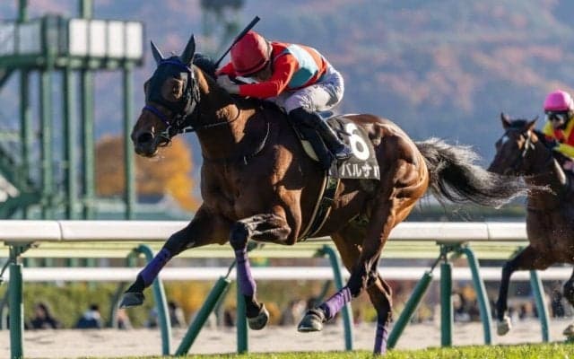 【高湯温泉特別】8番人気の伏兵バルナバが差し切る