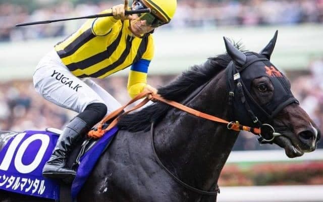 霜降り明星・粗品はジャンタルマンタルを信頼 マイルCSは3連単1着固定で勝負だ