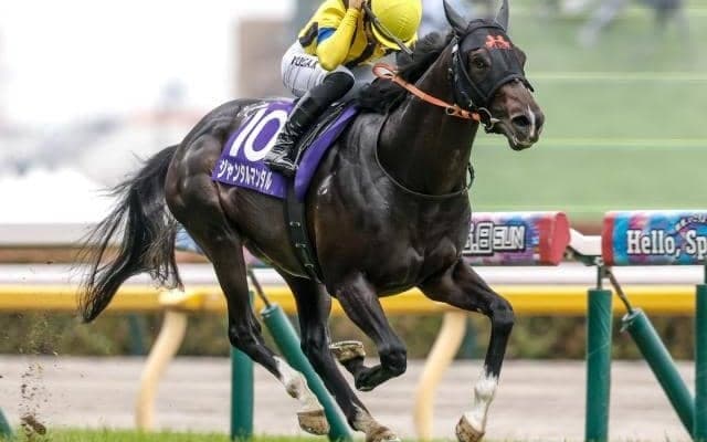 【マイルCS予想】下半期の最強マイラー決定戦 瞬発力が求められる戦い