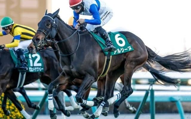 重賞2勝のアルジーヌが登録抹消 ケイアイファームで繁殖入り