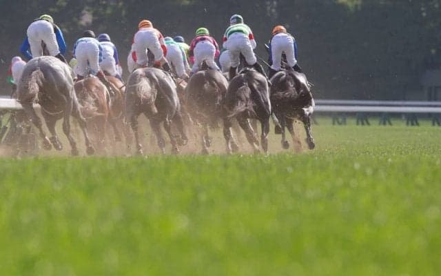 【マイルCS／馬場情報】Cコース替わりで傾向ガラリ　イン前トラックバイアスで有力馬に警鐘