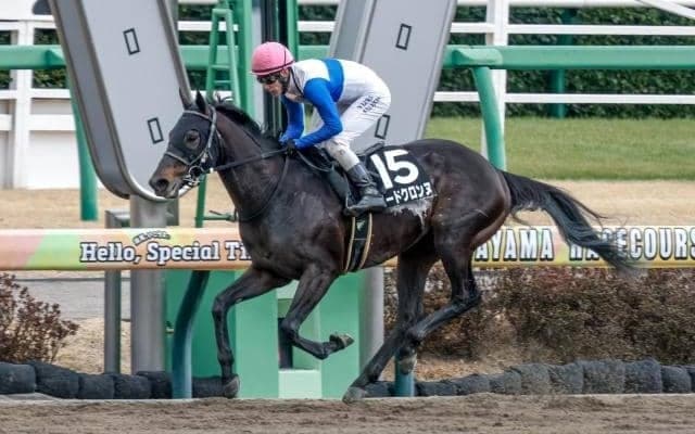 【浦和記念枠順】重賞で好走続けるロードクロンヌは8枠11番、前哨戦を制したスレイマンは4枠4番