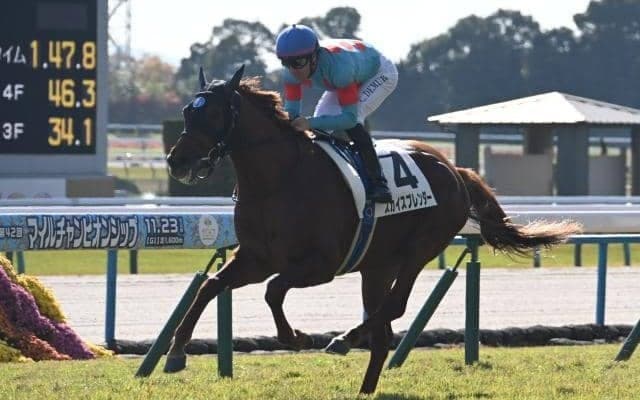 【京都5R新馬戦結果】サートゥルナーリア産駒スカイスプレンダーが逃げ切り快勝