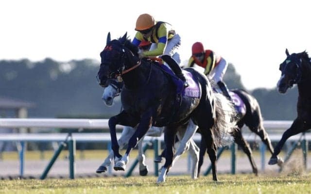 【マイルCS】盤石のレース運び！ジャンタルマンタルVでマイルG1春秋制覇