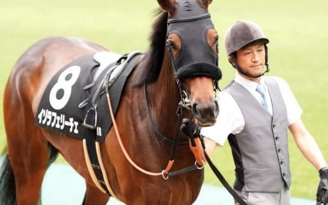 エフフォーリアのきょうだい2頭 月曜東京で同日同場Vなるか
