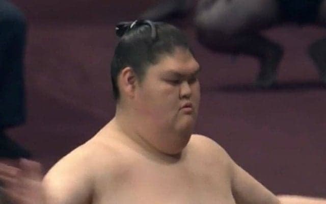 体は極太なのに脚が細い…巨漢力士、体とのギャップがすごい“ほっそり美脚”に驚きの声「ギャップに目が入ってしまうw」