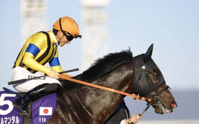 【マイルCS】川田「チャンピオンであることを証明出来てホッとしています」ジャンタルマンタルが春秋マイルG1制覇