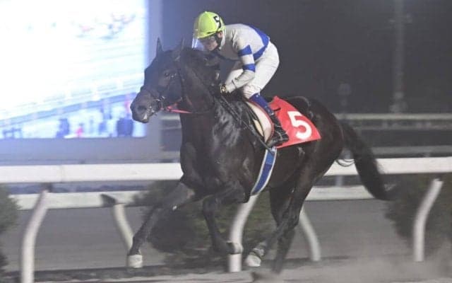 【高知・仁淀川特別】ロレンツォが高知転入後2連勝