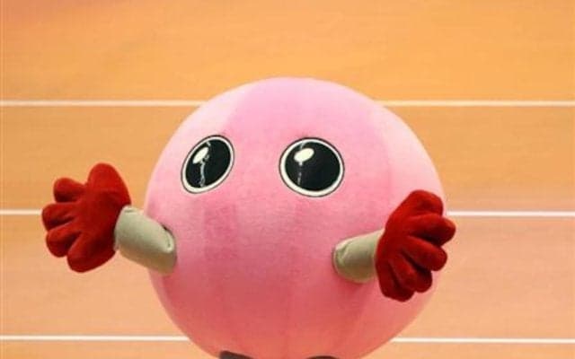 女子3決は共栄学園と八王子実践　勝者が全国大会へ／春高バレー