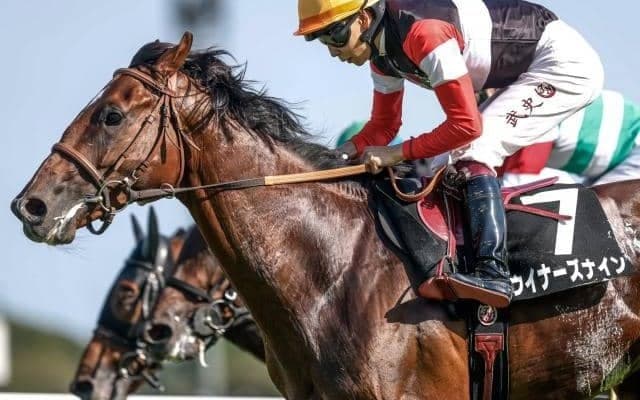 【京都2歳S】ウイナーズナイン、アスクエジンバラらが登録