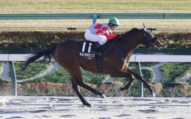【晩秋S】キョウキランブが5馬身差圧勝…単勝1.3倍シャンパンポップは2着