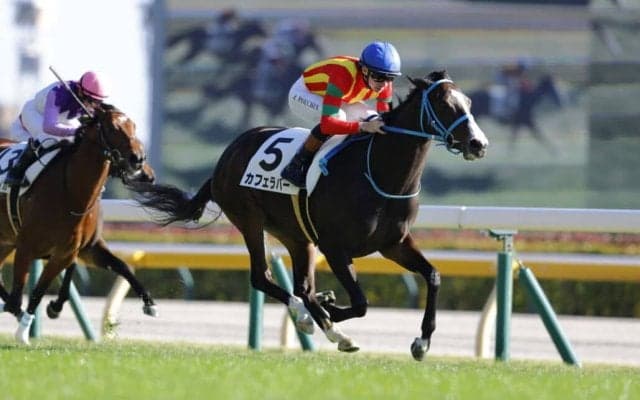 【新馬/東京7R】モーリス産駒 カフェラバーが快勝…断然人気ペアレンツギフトは2着