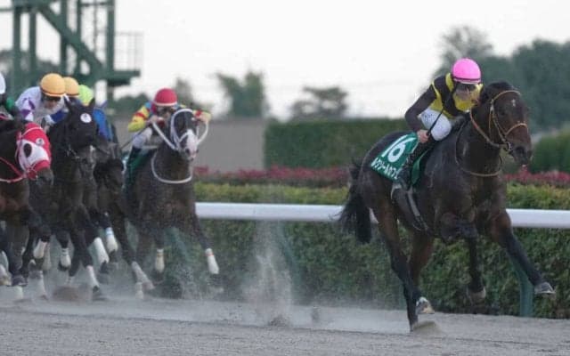 【武蔵野S】レーン「精神面や体全体的に強くなった」3歳馬ルクソールカフェが重賞初制覇