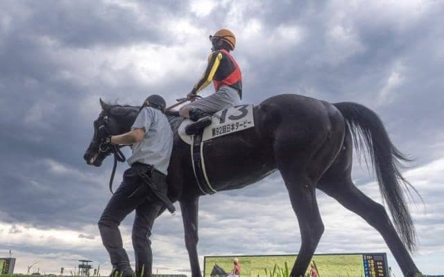 ジャパンC、京阪杯など3重賞/今週の競馬界の見どころ
