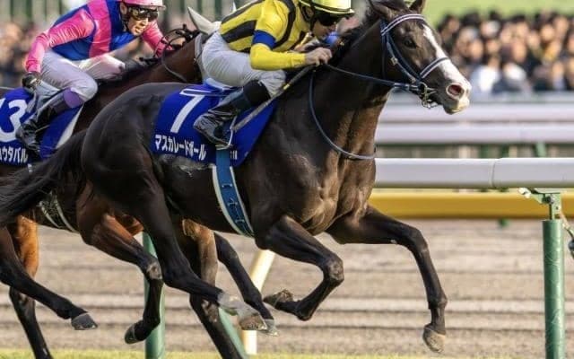 社台RHがジャパンC初制覇なるか マスカレードボールが主役で参戦