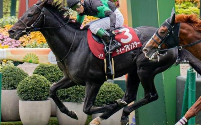 池江泰寿調教師がジャパンC初制覇なるか ディープモンスターが参戦だ