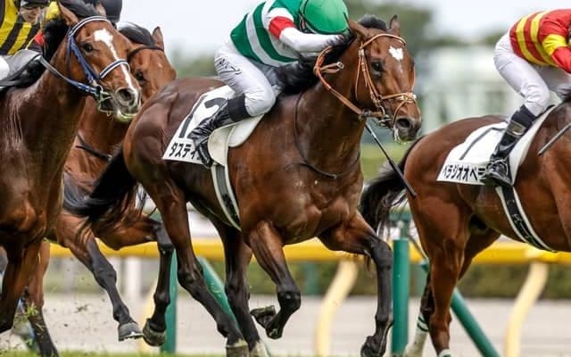 【ジャパンC見どころ】23年のダービー馬タスティエーラが巻き返す