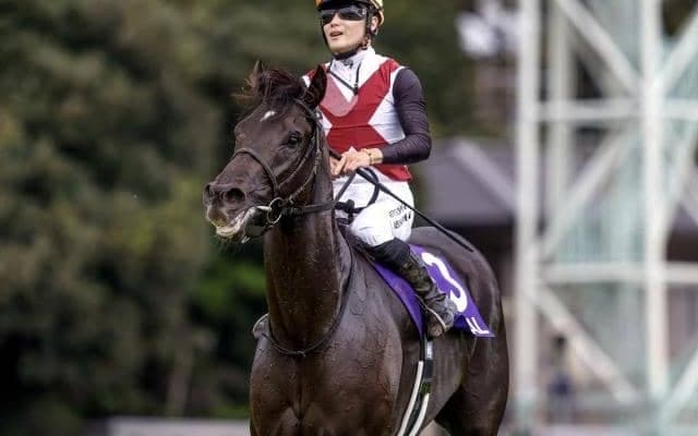 【京阪杯想定騎手】ルガルは西村淳也騎手、ペアポルックスは松若風馬騎手