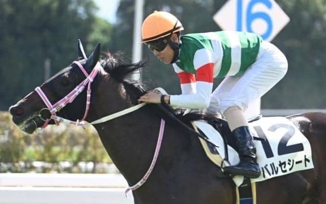 【京都2歳S想定騎手】バルセシートはC.デムーロ騎手、ウイナーズナインは西村淳也騎手