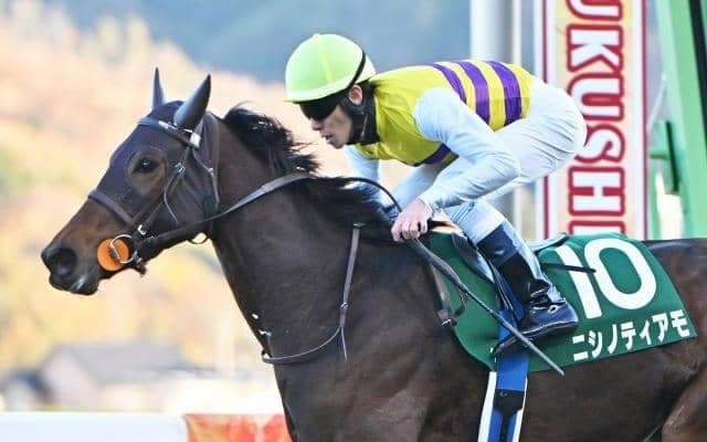 【福島記念】売上は40億9699万8700円で昨年より約15.5億円の大幅増