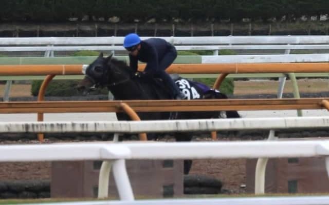 GI・4勝馬ラヴズオンリーユーの初仔などが今週末初陣/関西馬メイクデビュー情報