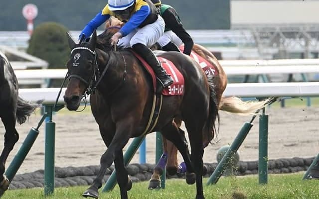 【AI予想・ジャパンC】人工知能は人気薄の大駆けを警戒!? 前走の敗戦を糧に巻き返しを狙う本命候補