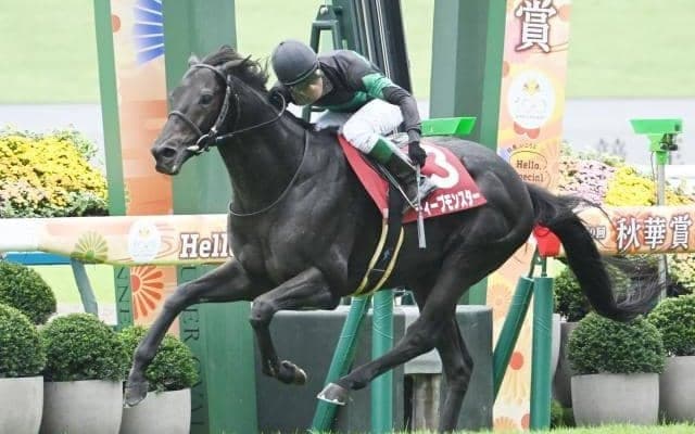 【ジャパンCの過去10年データ】天皇賞(秋)組が軸に最適 穴なら京都大賞典からの臨戦馬