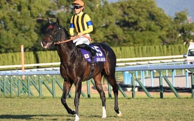 ジャンタルマンタルが史上初の芝マイルGI完全制覇 その血統背景は種牡馬としても期待ふくらむ