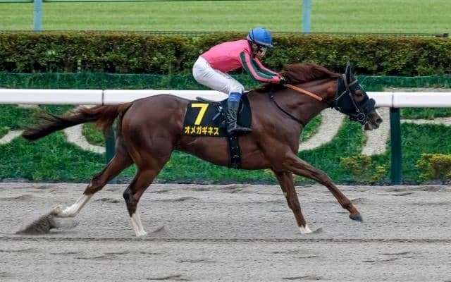 【チャンピオンズC出走馬決定順】フルゲート16頭に24頭が登録 オメガギネスやサントノーレなど8頭が除外見込み