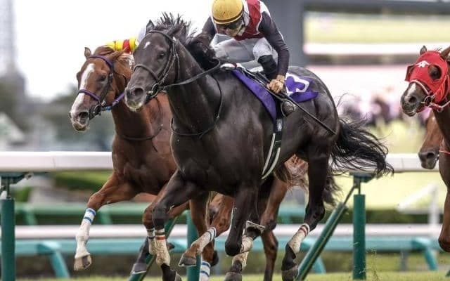 【京阪杯予想オッズ】ルガルが予想1番人気