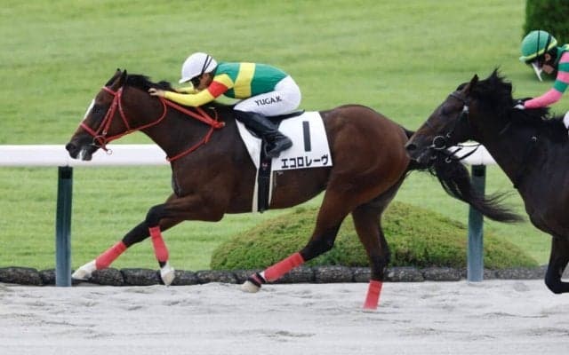 【兵庫ジュニアグランプリ】エコロレーヴは5枠5番