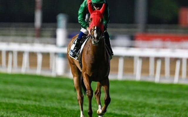 シンエンペラーにかかる意外な記録 フランス産馬が勝ったら史上初