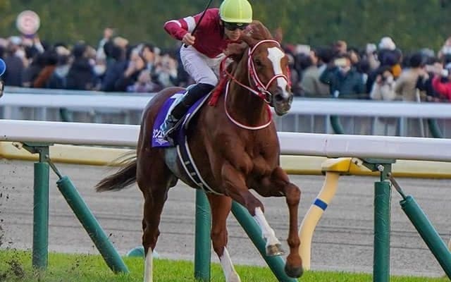【ジャパンC】19頭の香港馬名・馬名意味を紹介！『真命新帝』『好脆』はどの馬？