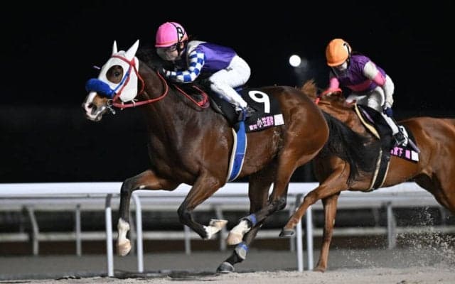 【地方競馬】LJSザ・ファイナルは小笠原羚騎手が頂点、シリーズは今回で終了